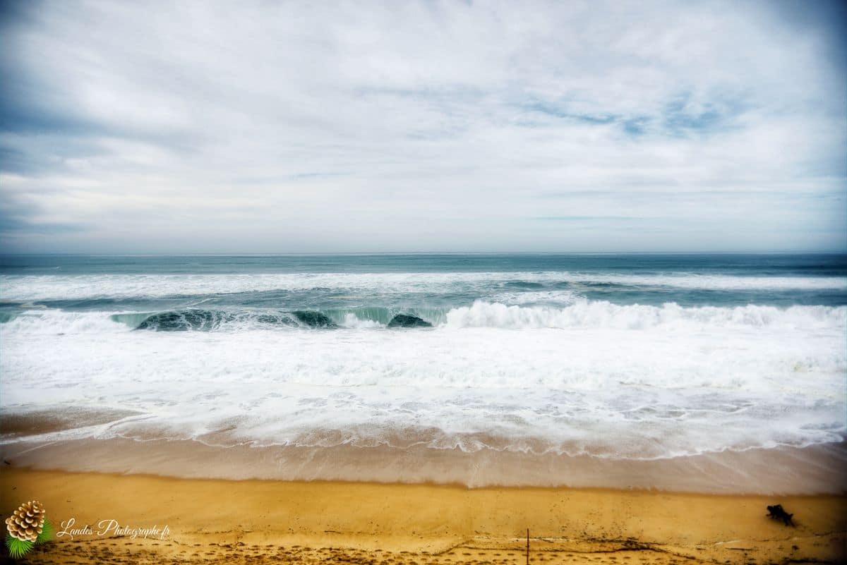 đ Labenne OcĂ©an : L'Immersion sur la CĂŽte Sud des Landes Labenne OcĂ©an