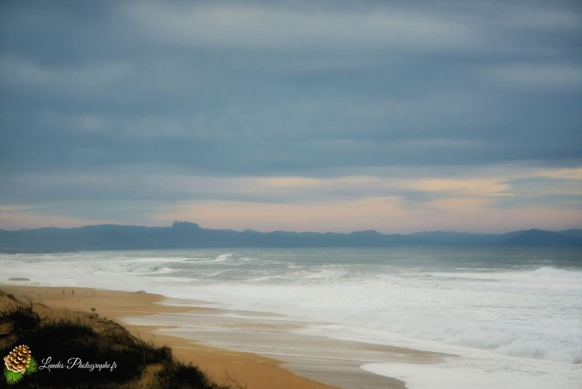 đ Labenne OcĂ©an : L'Immersion sur la CĂŽte Sud des Landes Labenne OcĂ©an