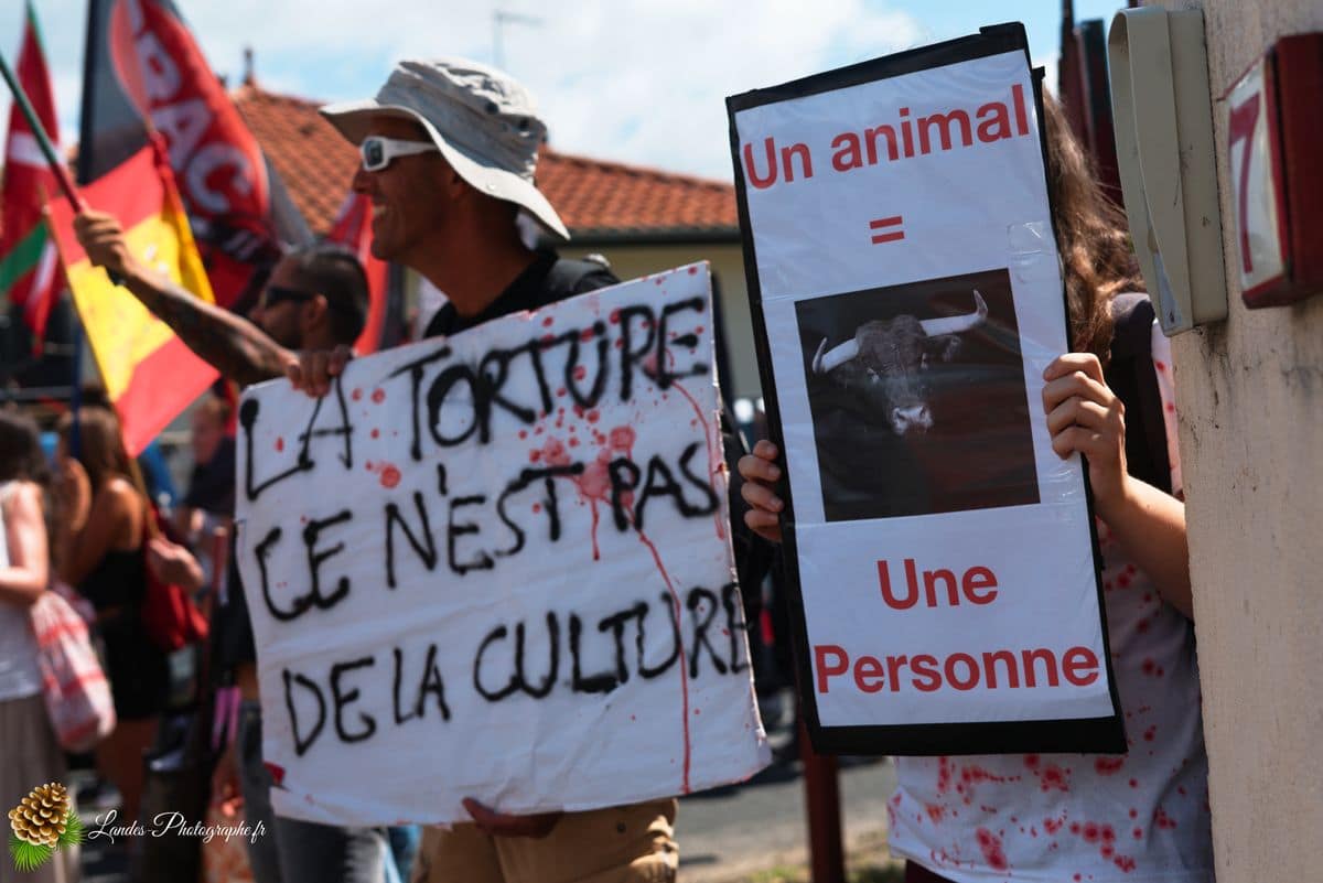 ✊ Manifestation pour l’abolition de la corrida à Saint-Vincent-de-Tyrosse Manifestation pour l’abolition de la corrida à Saint-Vincent-de-Tyrosse