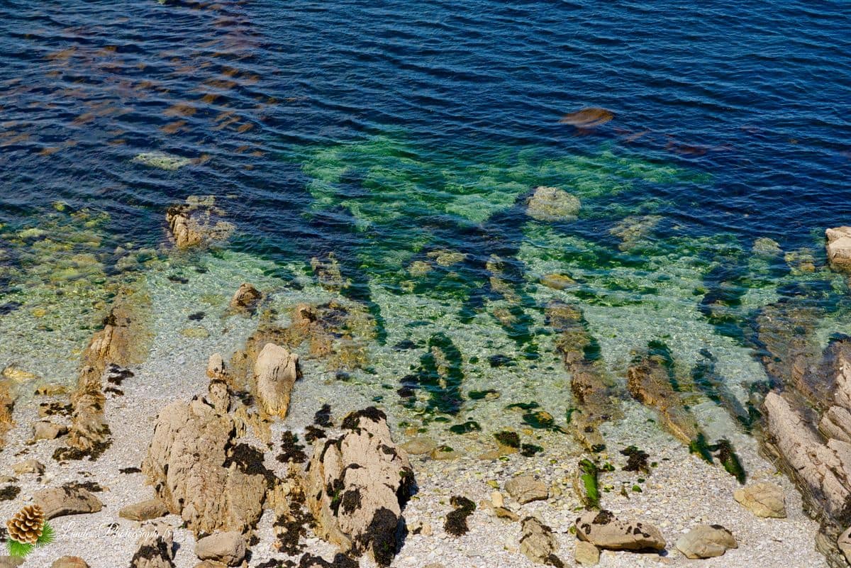 🏖️ Plage de Trez Rouz : Lumière et Patrimoine sur l'Anse de Camaret Plage de Trez Rouz
