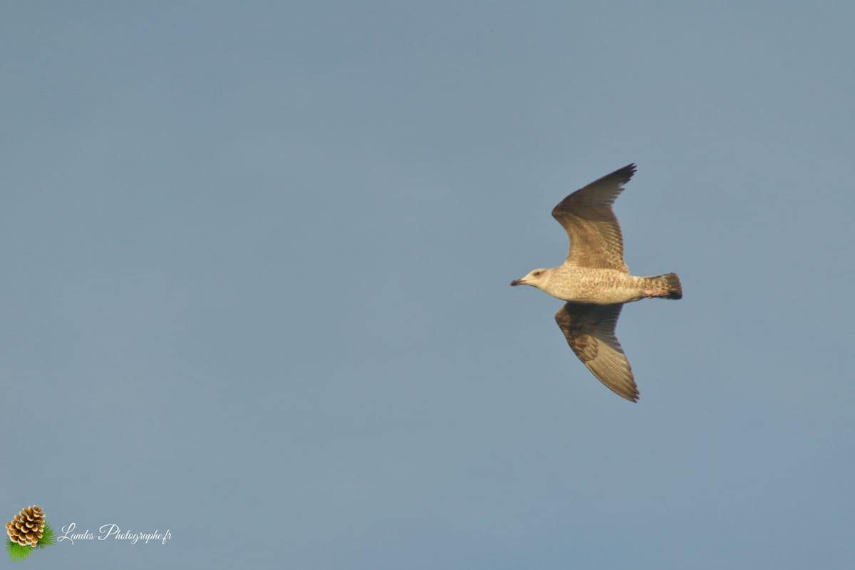 đ Plage de Trez Rouz Ă Camaret-sur-Mer Plage de Trez Rouz Ă Camaret sur Mer