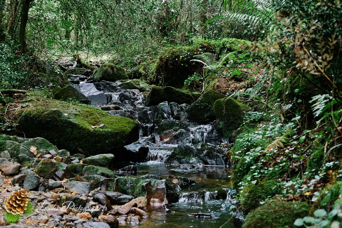 ⛰️ Évasion en Montagne : Le Lac de Xoldokogaina à Ibardin Le lac de Xoldokogaina à Ibardin