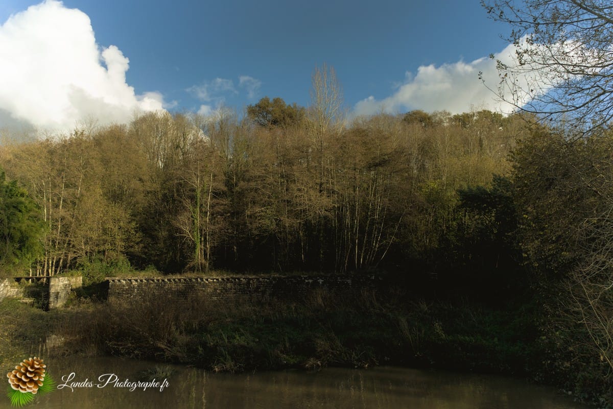 🦆 La Réserve Naturelle du Marais d'Orx : Le Trésor Humide du Sud des Landes Réserve Naturelle du Marais d