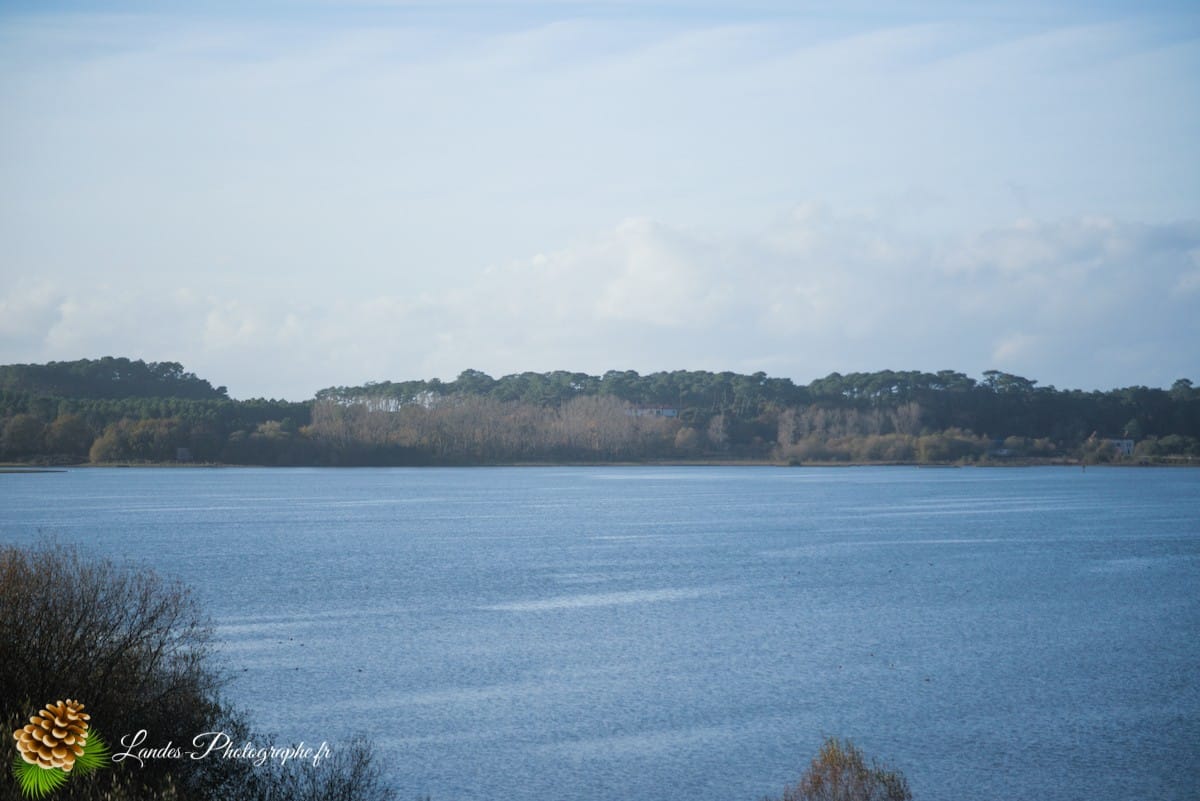 🦆 La Réserve Naturelle du Marais d'Orx : Le Trésor Humide du Sud des Landes Réserve Naturelle du Marais d