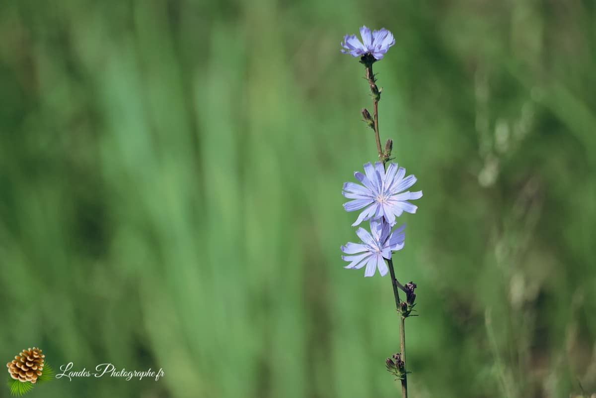 🏞️ le Belaïa (ou Aghidel) : Beauté Naturelle en Bachkirie Belaïa