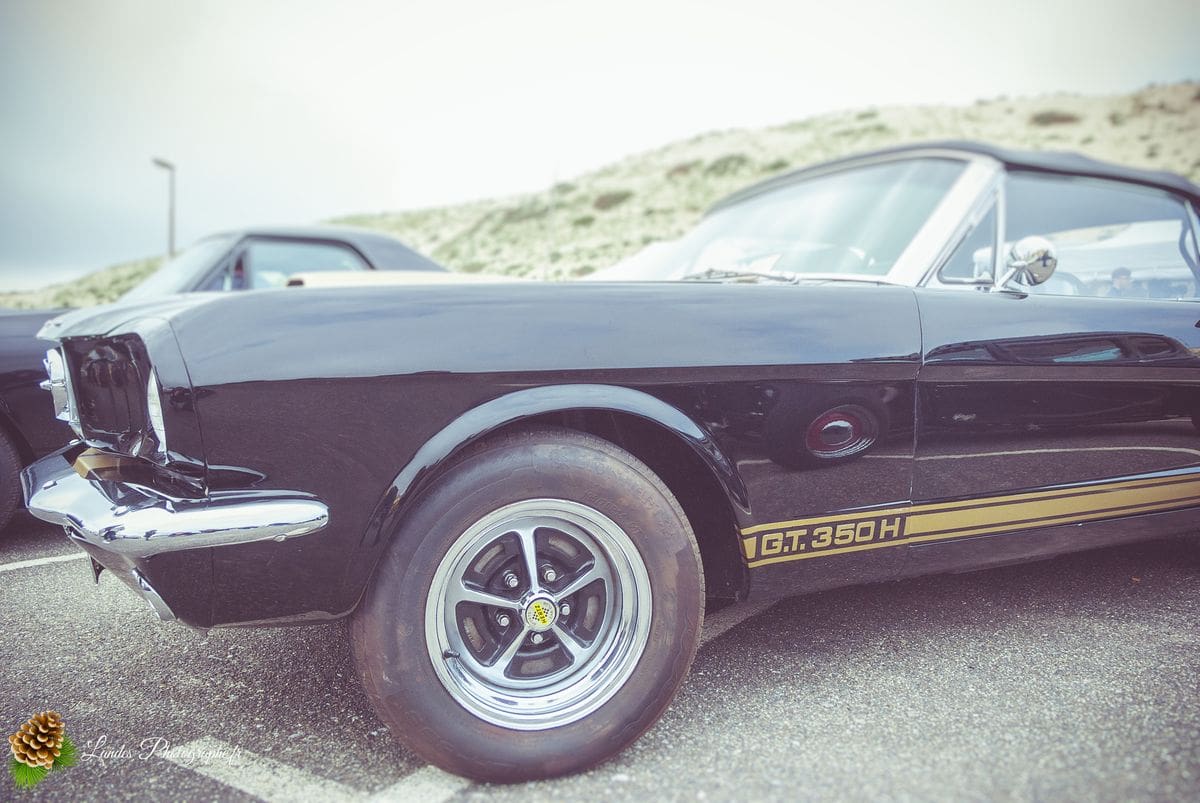 🔥 Retour sur l'American Crazy Week : La 7ème Édition à Seignosse-le-Penon 7ème édition de l’American Crazy Week à Seignosse-le-Penon