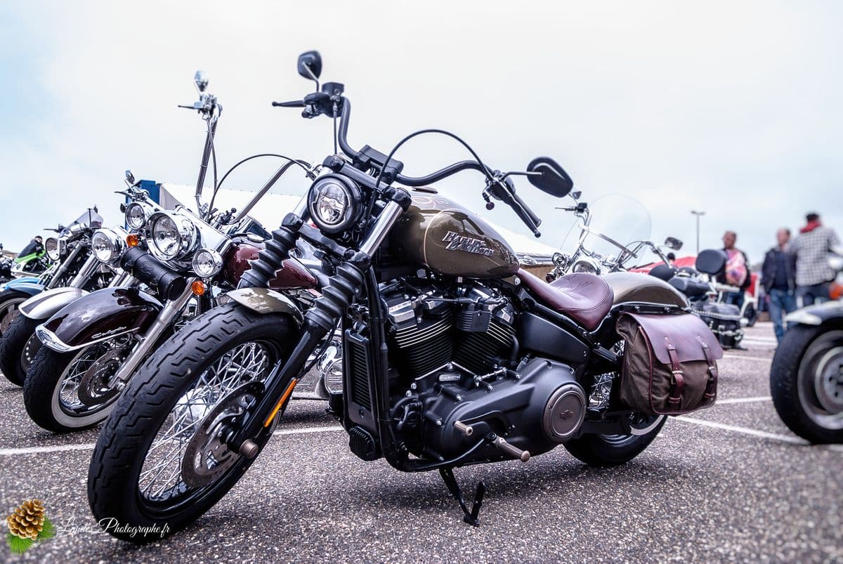 🔥 Retour sur l'American Crazy Week : La 7ème Édition à Seignosse-le-Penon 7ème édition de l’American Crazy Week à Seignosse-le-Penon