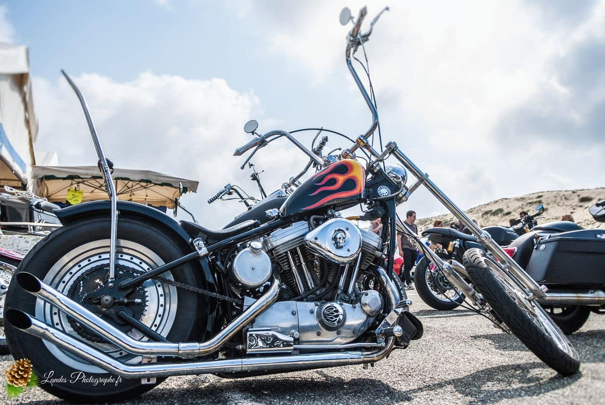 🔥 Retour sur l'American Crazy Week : La 7ème Édition à Seignosse-le-Penon 7ème édition de l’American Crazy Week à Seignosse-le-Penon