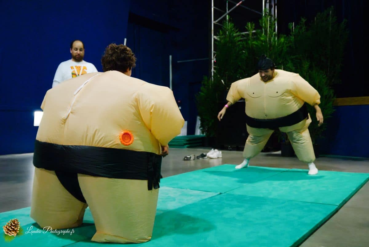 🌸 Festival Animasia 2010 : Plongée au Cœur de la Culture Asiatique à Pessac Festival Animasia 2010