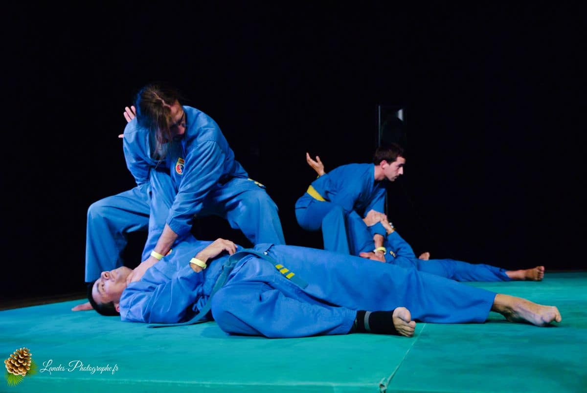 🌸 Festival Animasia 2010 : Plongée au Cœur de la Culture Asiatique à Pessac Festival Animasia 2010