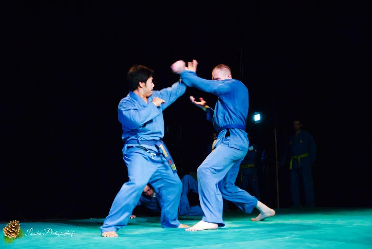 🌸 Festival Animasia 2010 : Plongée au Cœur de la Culture Asiatique à Pessac Festival Animasia 2010