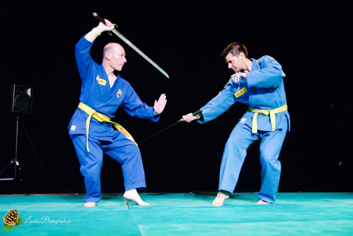 🌸 Festival Animasia 2010 : Plongée au Cœur de la Culture Asiatique à Pessac Festival Animasia 2010