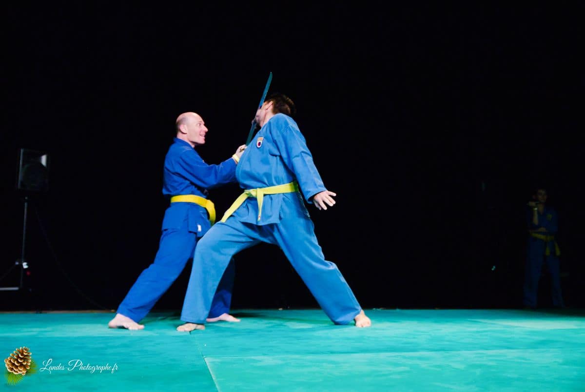 🌸 Festival Animasia 2010 : Plongée au Cœur de la Culture Asiatique à Pessac Festival Animasia 2010