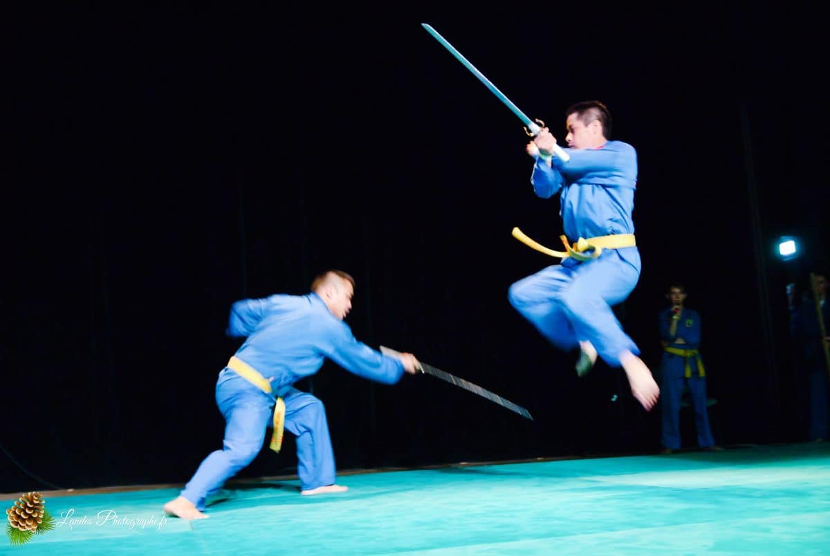 🌸 Festival Animasia 2010 : Plongée au Cœur de la Culture Asiatique à Pessac Festival Animasia 2010