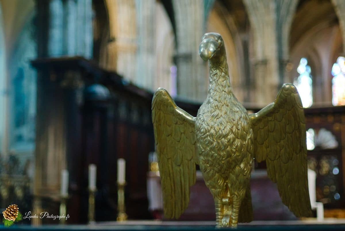 ⛪ Photographie d'Architecture : La Cathédrale Saint-André de Bordeaux Cathédrale Saint-André de Bordeaux