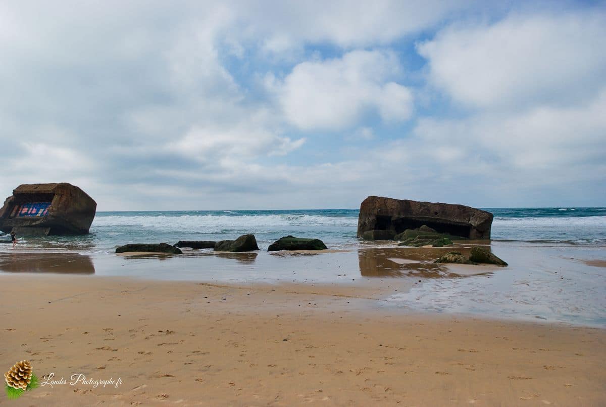 đ Instants OcĂ©aniques : Capbreton et la Plage du Santocha Capbreton