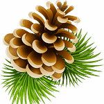 Accueil Landes Photographe