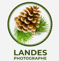 landes photographe
