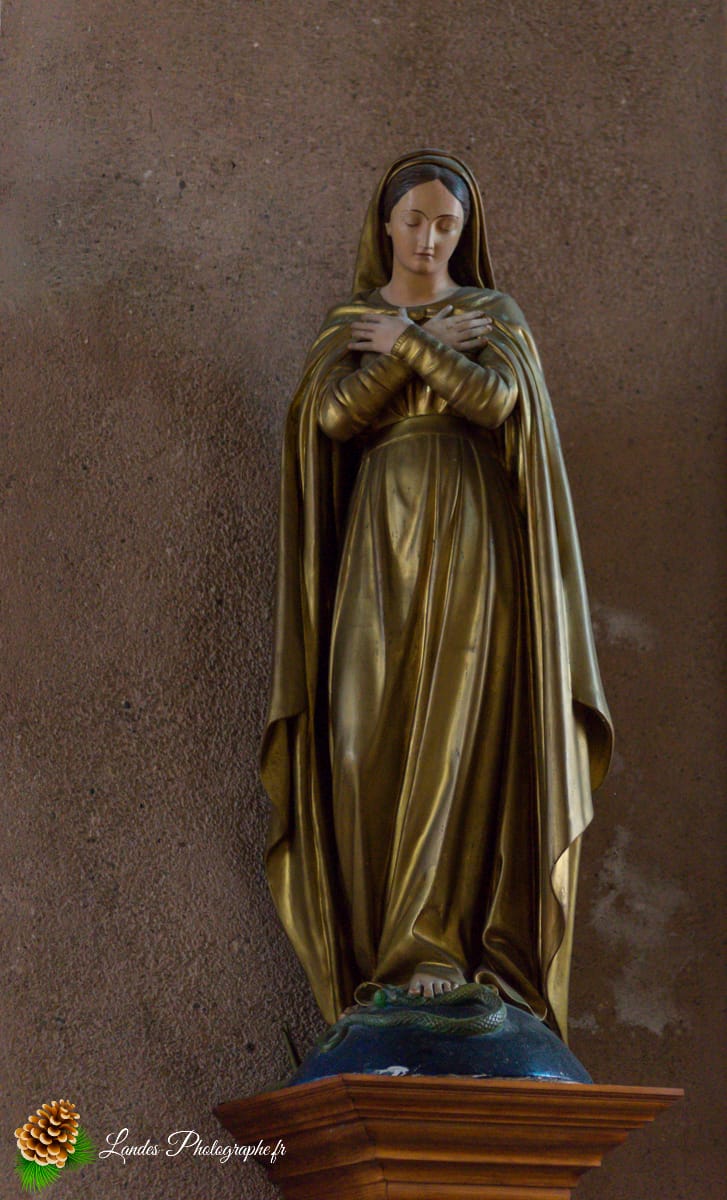 🕊️ L'Église Saint-Sever de Tosse : Entre Roman et Néo-Landais Église Saint-Sever de Tosse