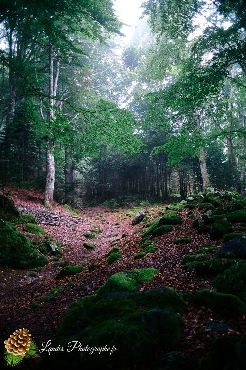 🌫️ Mystère Pyreneén : L'Ascension Inachevée vers le Lac Bleu Lac Bleu