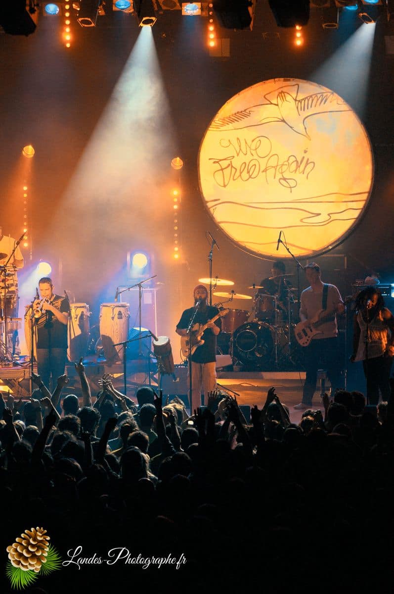 🌿 Groundation : L'Énergie Fusionnelle du Reggae Progressif à Pessac Groundation en concert à la Salle Bellegrave de Pessac