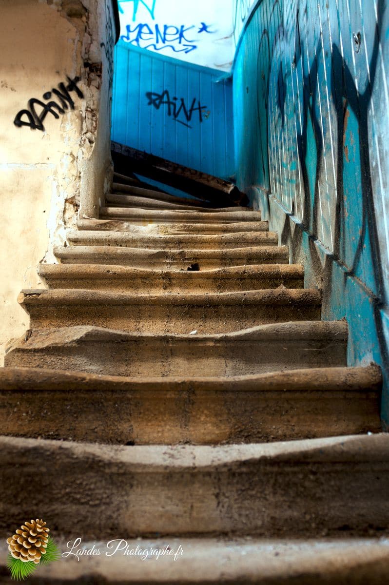 🏚️ L'Élégance Oubliée : la Chartreuse de Bel Sito Chartreuse de Bel Sito