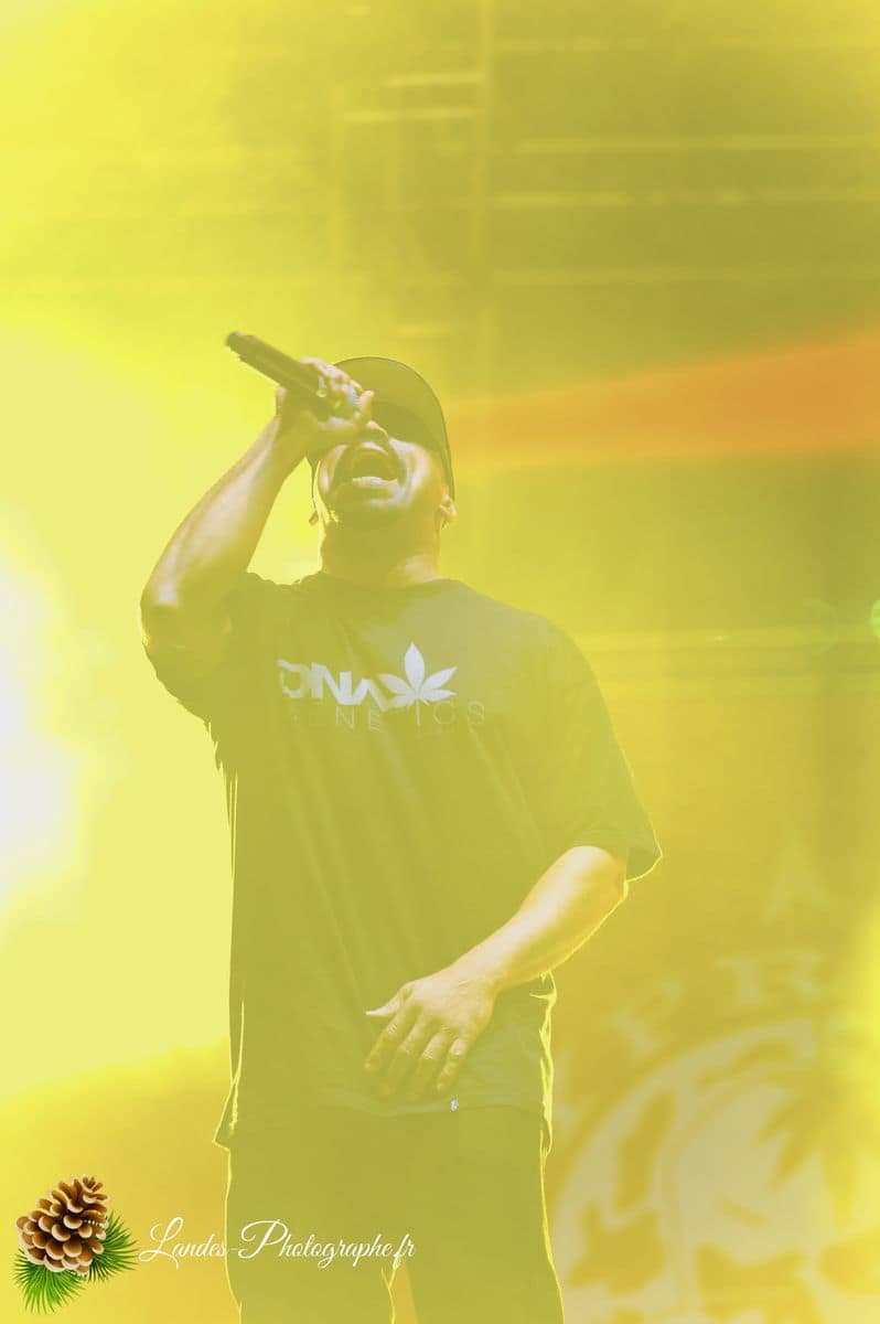 🎤 Cypress Hill au Garorock 2012 : L'Énergie du Hip-Hop Légendaire Cypress Hill en concert au Garorock 2012