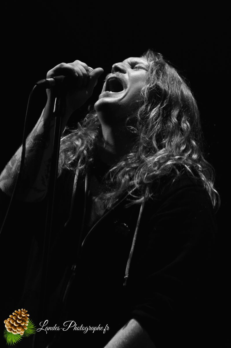 đ€ The Elderberries : Quand le Hard Rock enflamme l'Espace Tatry de Bordeaux The Elderberries Ă lâEspace Tatry de Bordeaux