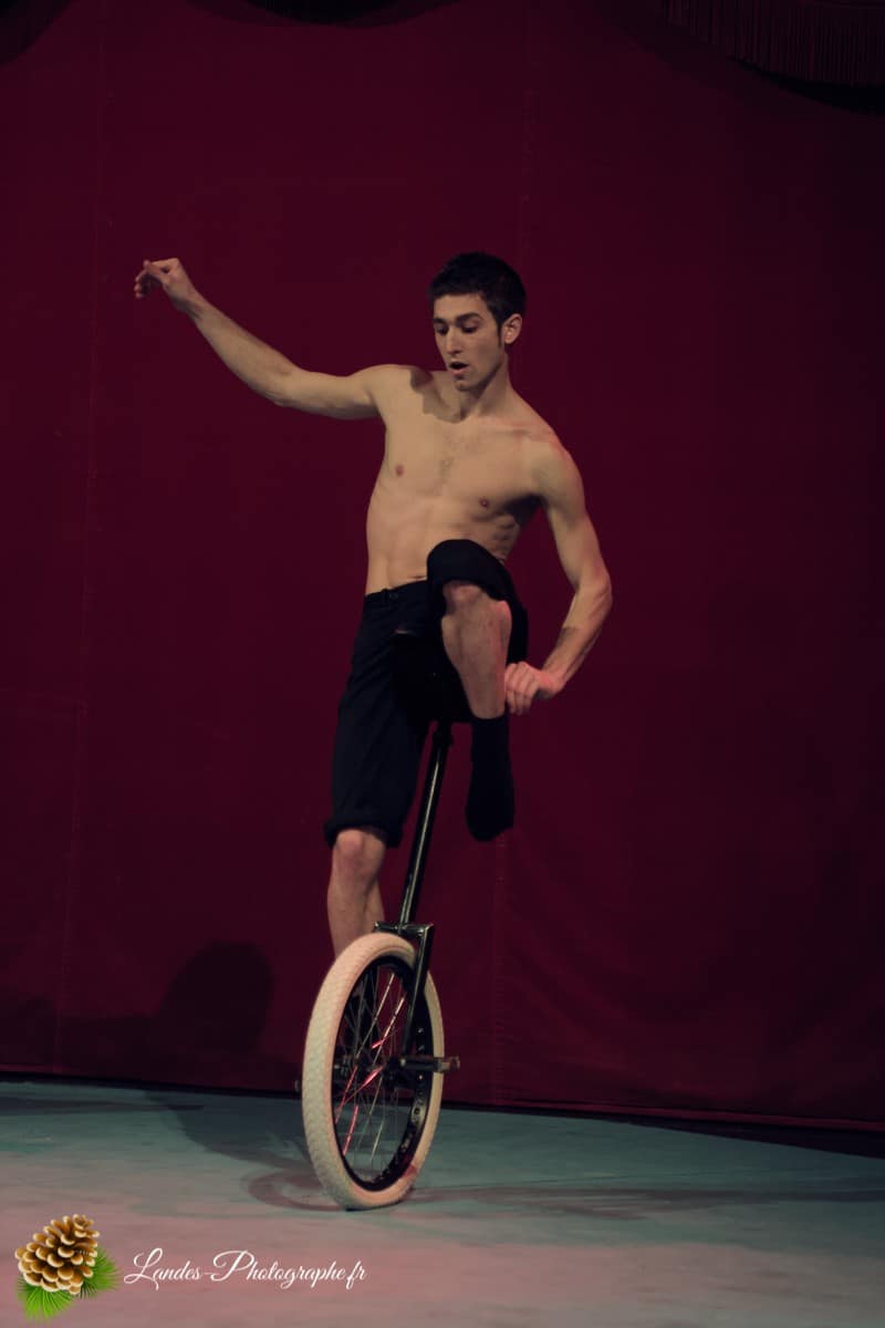 🎪 Les Arts du Cirque à Bordeaux : Le Palais Nibo et ses Pensionnaires Le Palais Nibo et ses pensionnaires