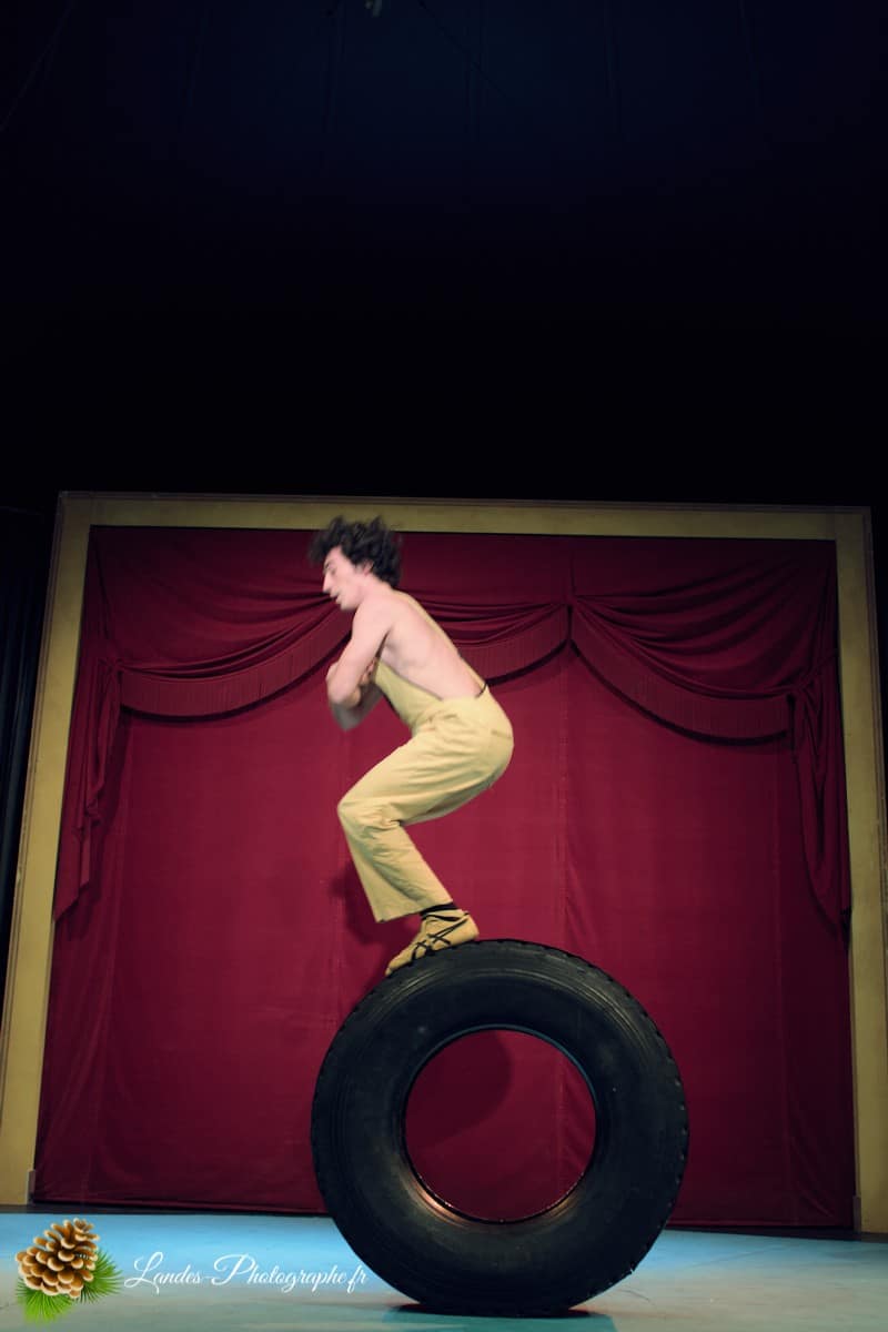 🎪 Les Arts du Cirque à Bordeaux : Le Palais Nibo et ses Pensionnaires Le Palais Nibo et ses pensionnaires