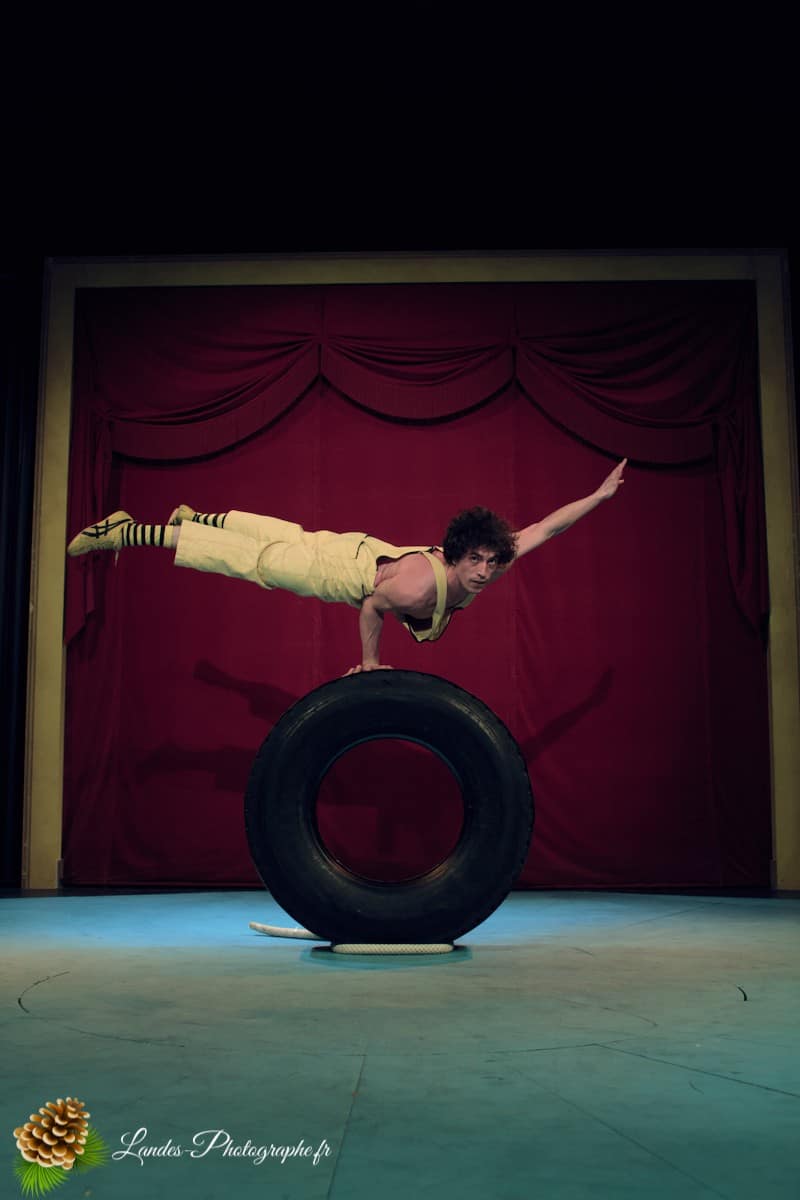 🎪 Les Arts du Cirque à Bordeaux : Le Palais Nibo et ses Pensionnaires Le Palais Nibo et ses pensionnaires