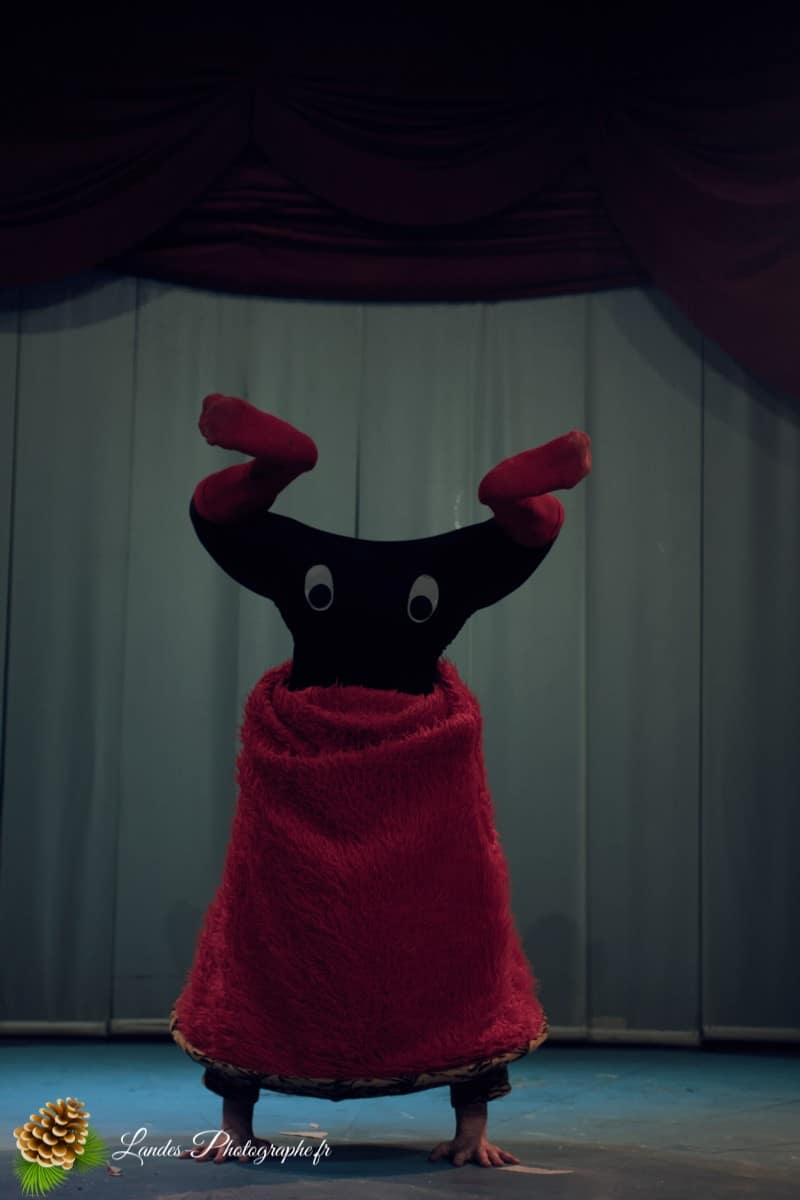 🎪 Les Arts du Cirque à Bordeaux : Le Palais Nibo et ses Pensionnaires Le Palais Nibo et ses pensionnaires