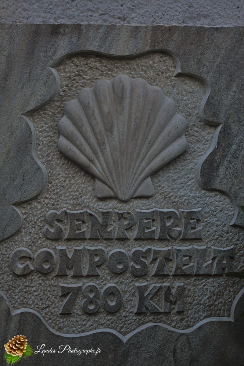 🏞️ Reportage au Cœur du Labourd : Saint-Pée-sur-Nivelle Saint-Pée-sur-Nivelle