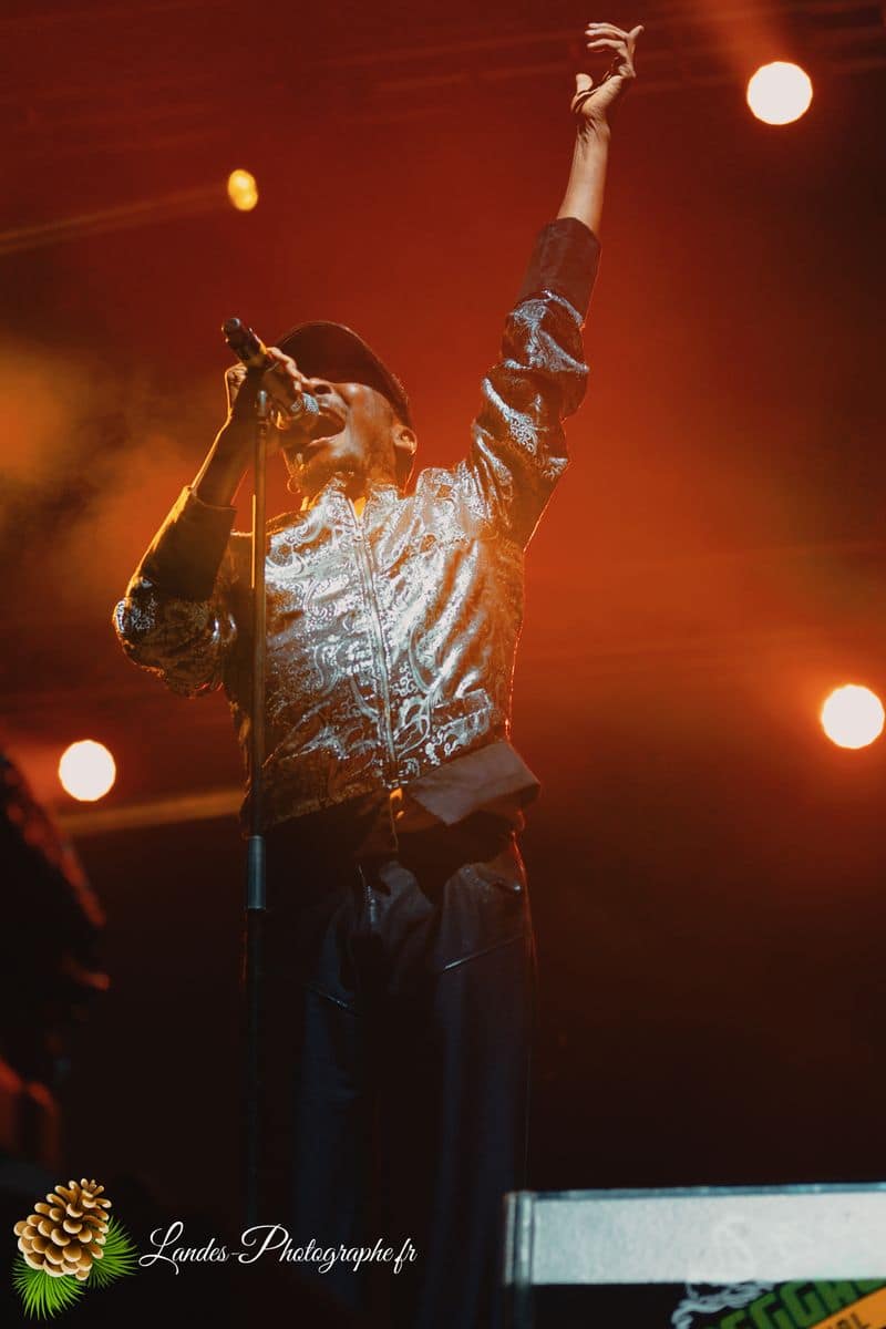 ☀️ Vibrations Jamaïcaines : Jimmy Cliff au Reggae Sun Ska 2015 Jimmy Cliff en concert au Festival Reggae Sun Ska 2015