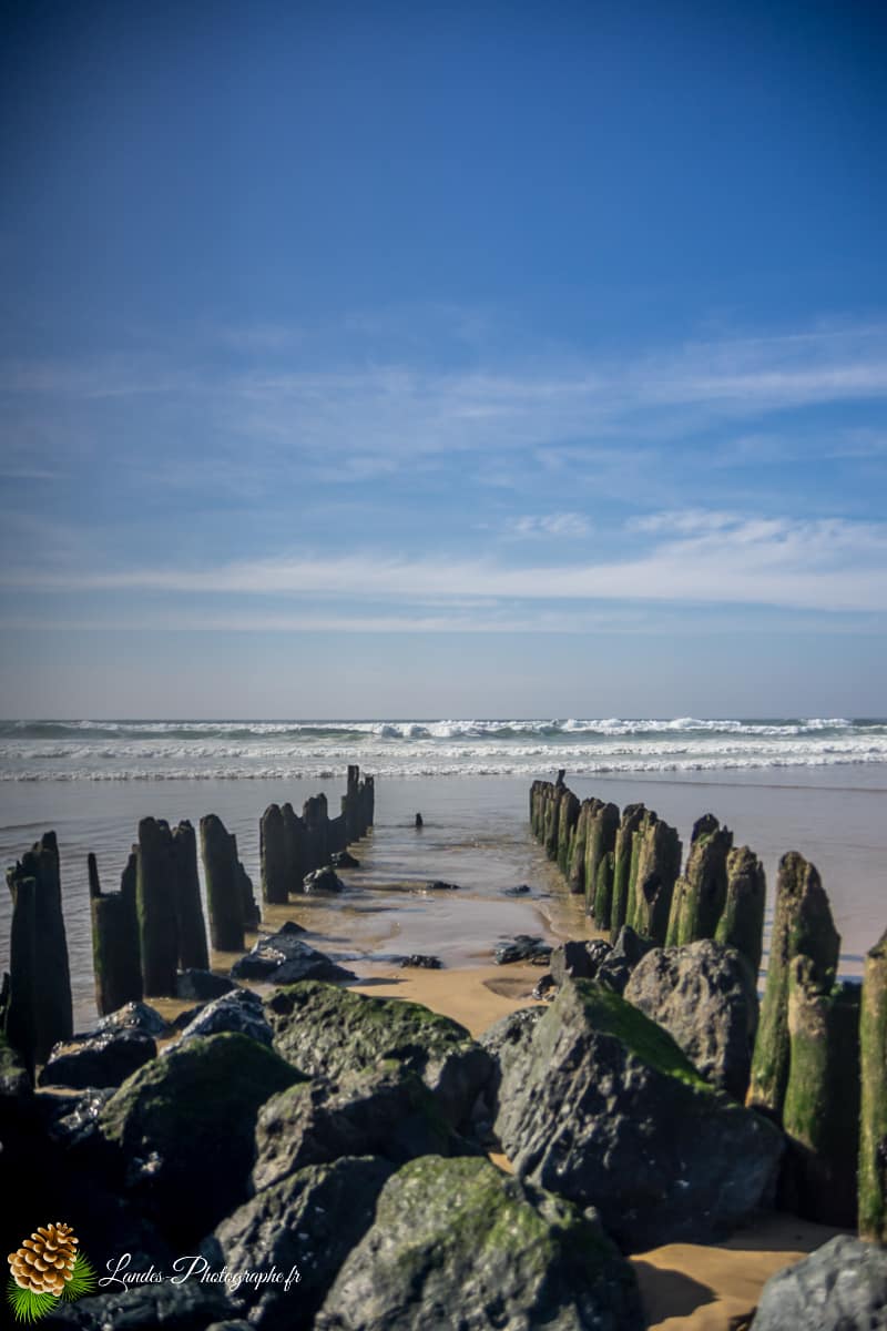 Accueil Seignosse Le Penon