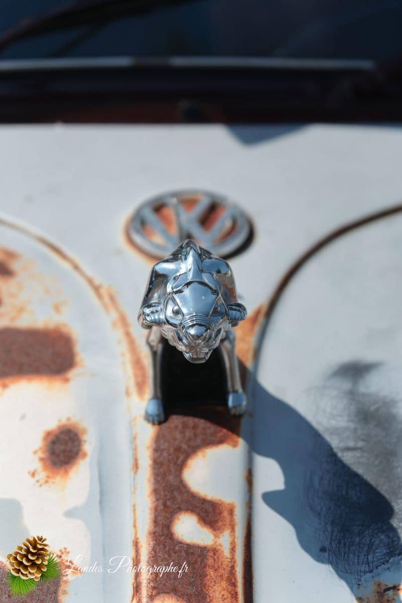 🚗 Le 34ème Cox Troc des Landes à Vieux-Boucau 34ème Cox Troc des Landes