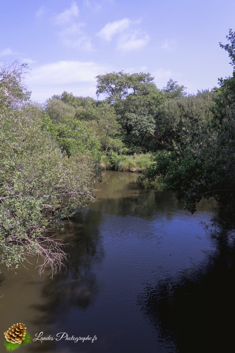 🏞️ Évasion Nature : Le Courant d'Huchet Courant d