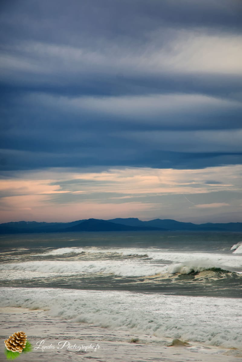 đ Labenne OcĂ©an : L'Immersion sur la CĂŽte Sud des Landes Labenne OcĂ©an