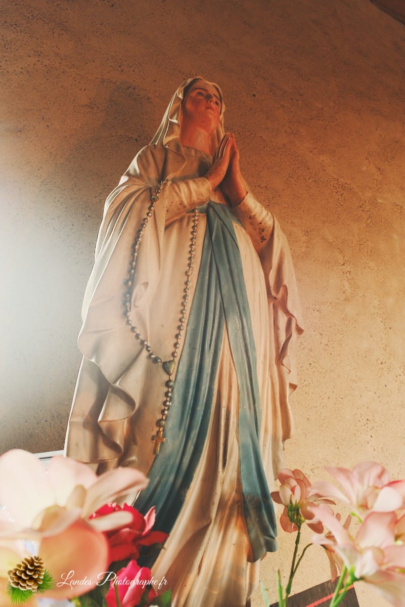 🌾 L'Église Saint-Martin d'Orx : Entre Marais et Traditions Eglise Saint-Martin d