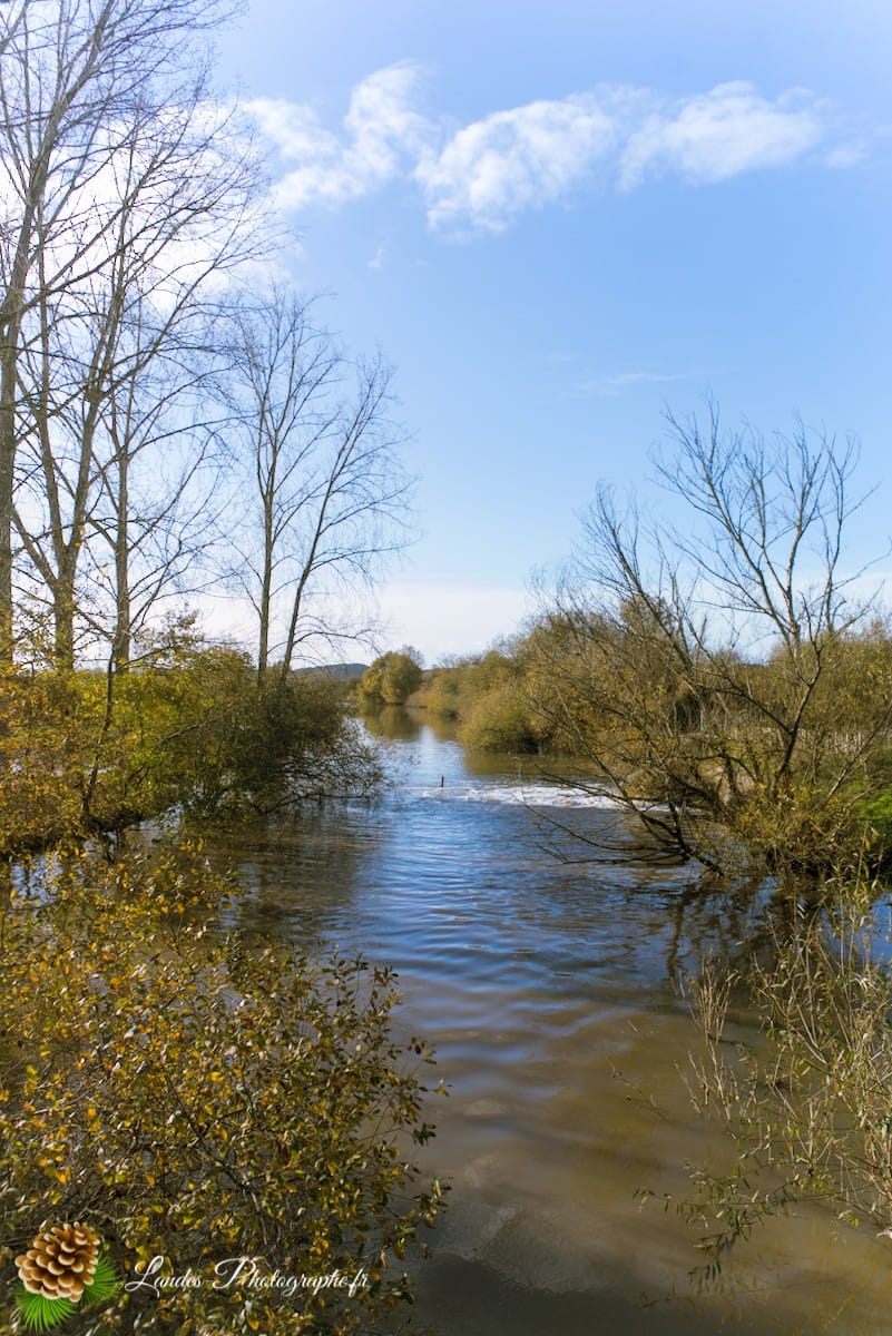 🦆 La Réserve Naturelle du Marais d'Orx : Le Trésor Humide du Sud des Landes Réserve Naturelle du Marais d