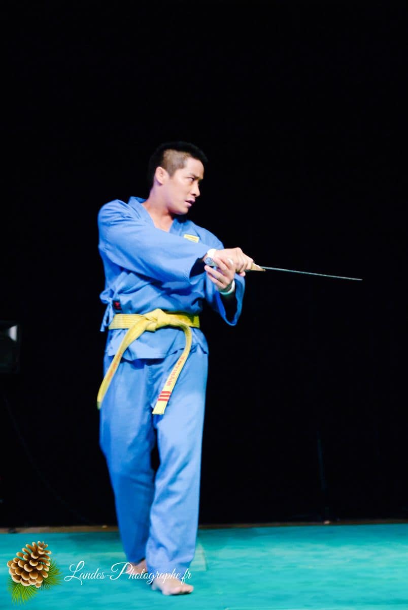 🌸 Festival Animasia 2010 : Plongée au Cœur de la Culture Asiatique à Pessac Festival Animasia 2010