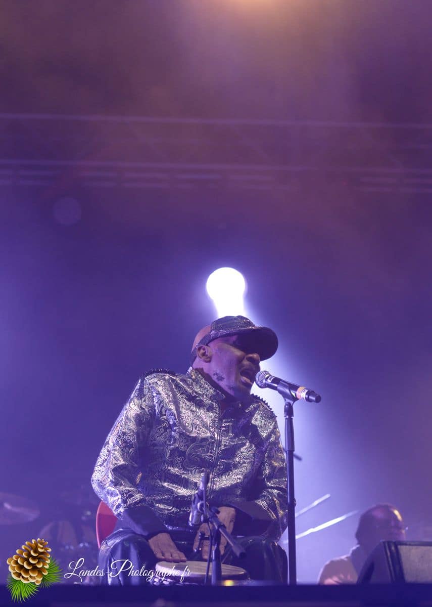 ☀️ Vibrations Jamaïcaines : Jimmy Cliff au Reggae Sun Ska 2015 Jimmy Cliff en concert au Festival Reggae Sun Ska 2015