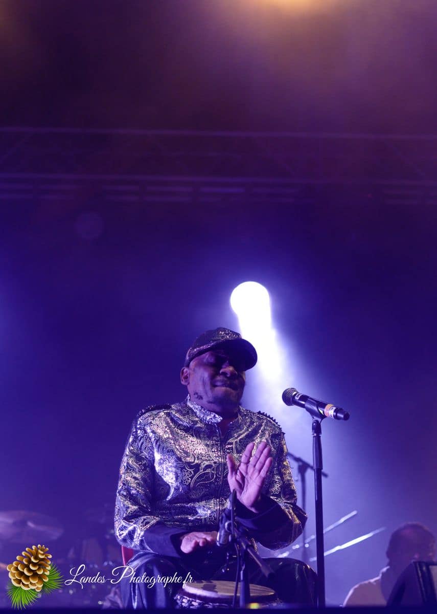☀️ Vibrations Jamaïcaines : Jimmy Cliff au Reggae Sun Ska 2015 Jimmy Cliff en concert au Festival Reggae Sun Ska 2015