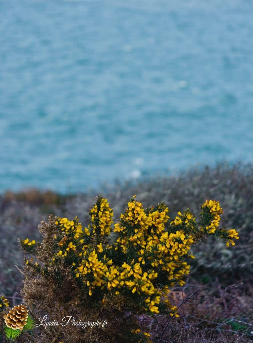 đ Plage de Trez Rouz Ă Camaret-sur-Mer Plage de Trez Rouz Ă Camaret sur Mer