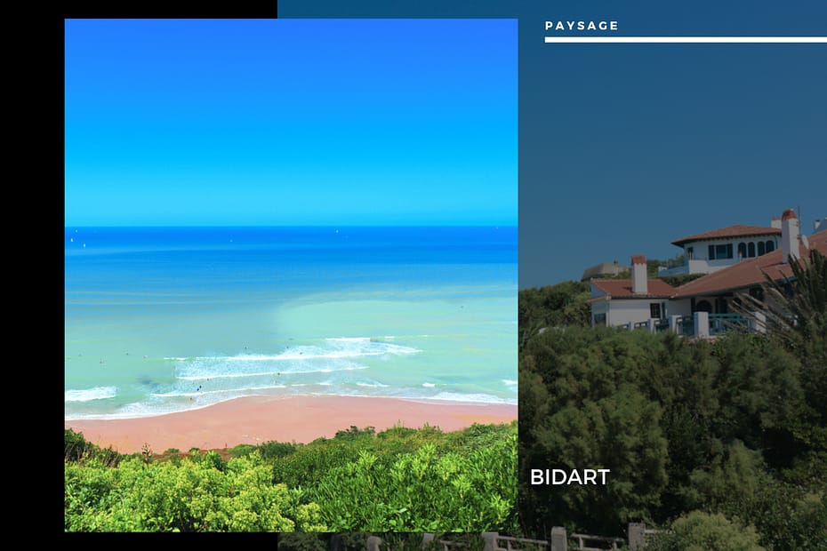 Bidart