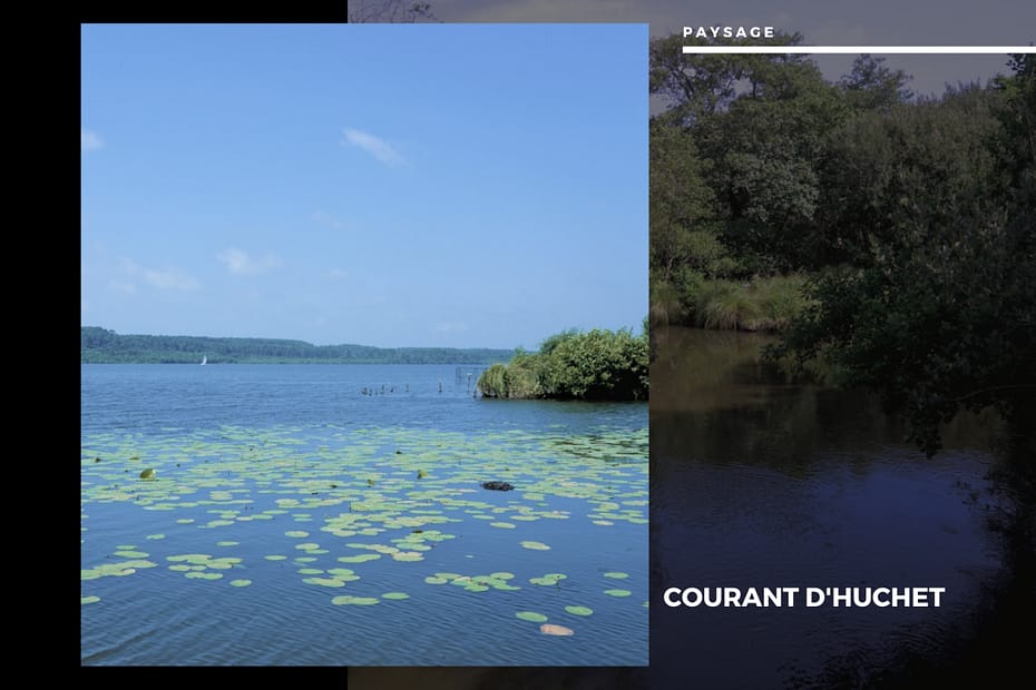 🏞️ Évasion Nature : Le Courant d'Huchet Courant d'Huchet