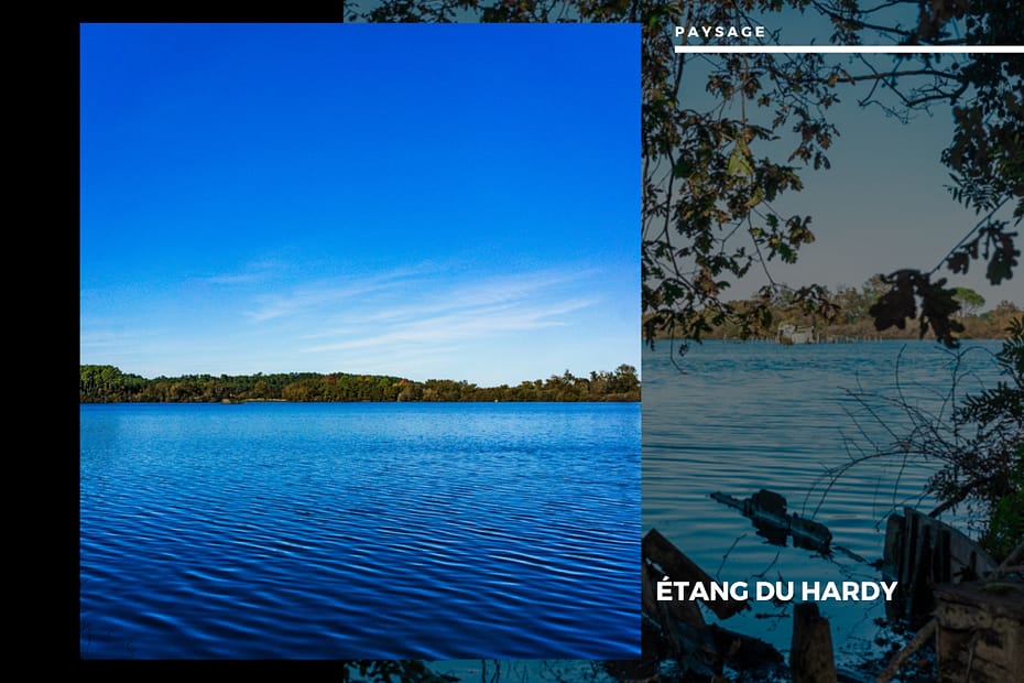 Étang du hardy
