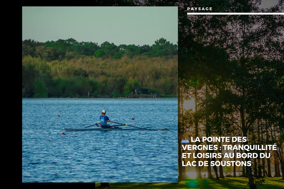 La Pointe des Vergnes