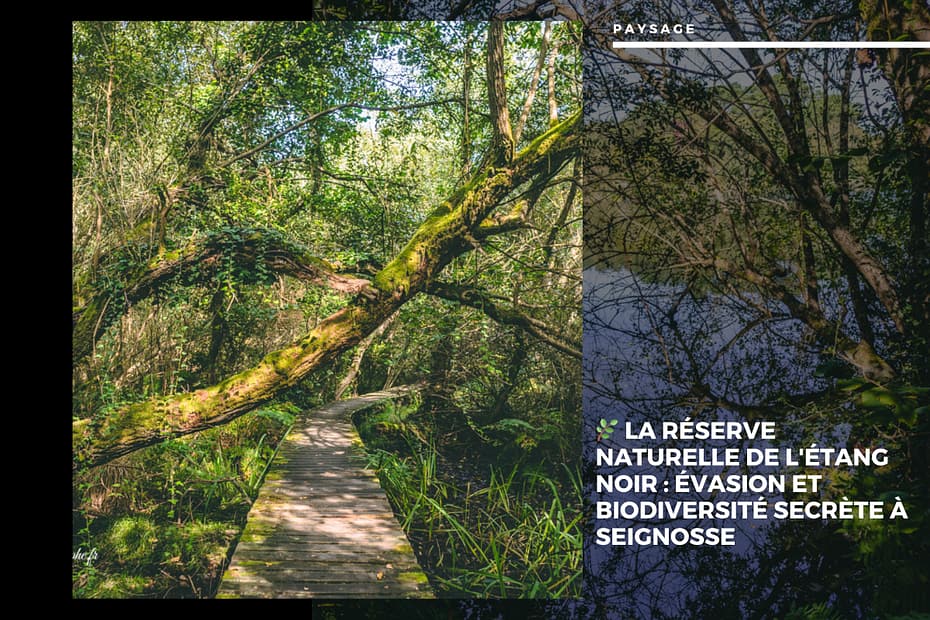 La Réserve Naturelle de l'Étang Noir