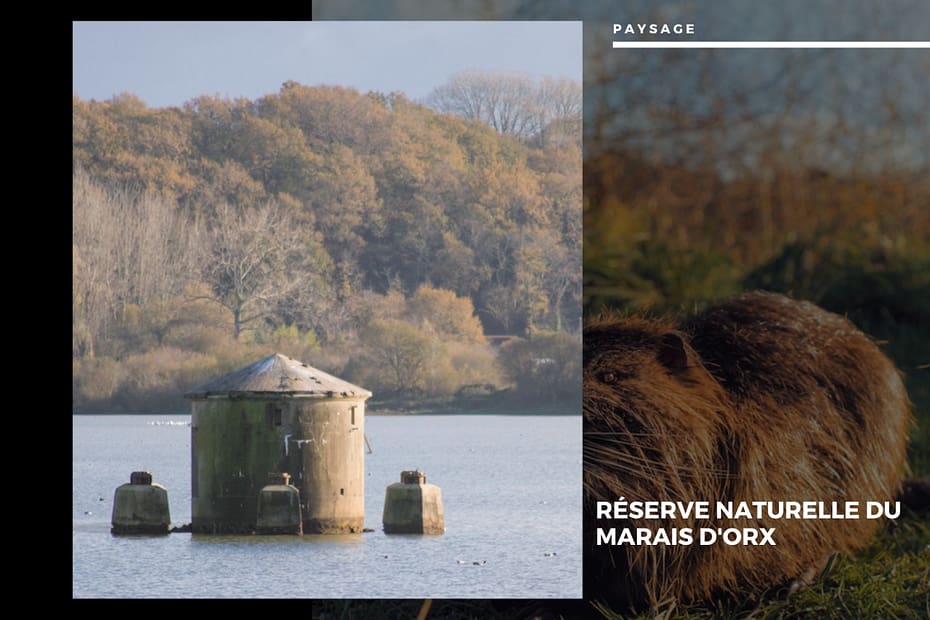 Réserve Naturelle du Marais d'Orx